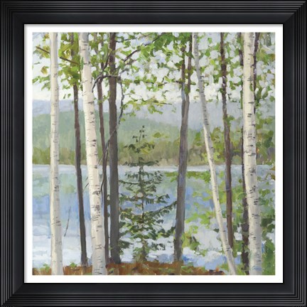 Framed Cooper Lake I Print