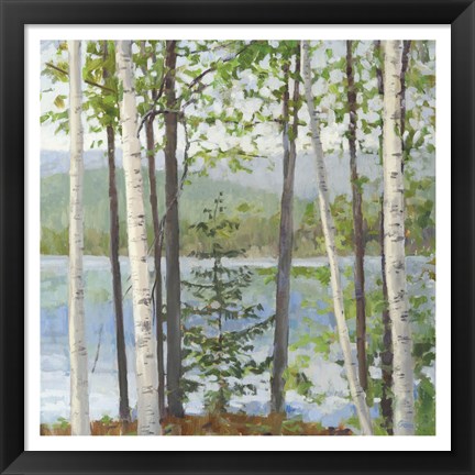 Framed Cooper Lake I Print