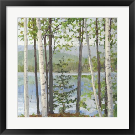 Framed Cooper Lake I Print