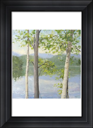 Framed Cooper Lake II Print