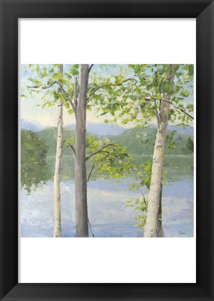 Framed Cooper Lake II Print
