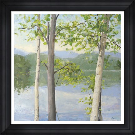 Framed Cooper Lake II Print