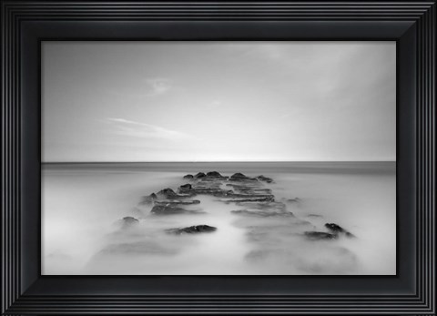 Framed Borne Back Print