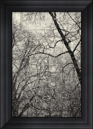 Framed Squall Print