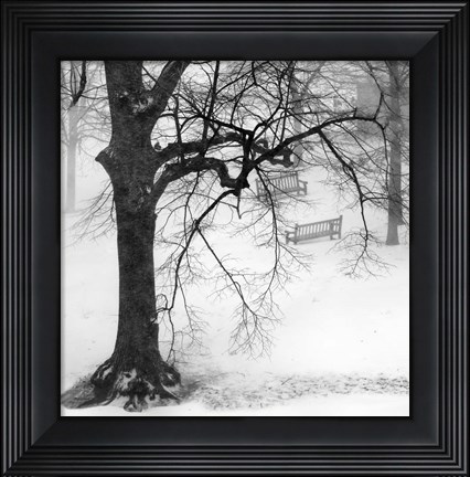 Framed Two Park Benches Print