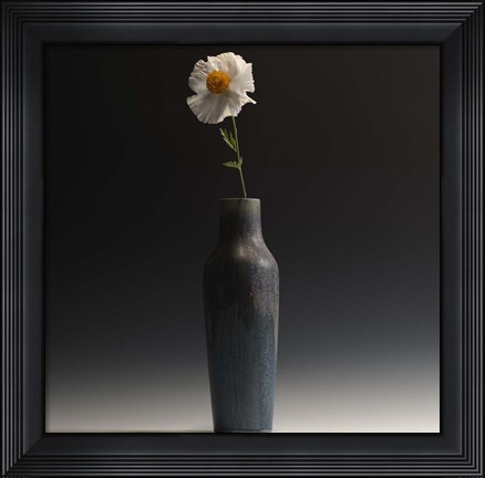 Framed Matalija Print