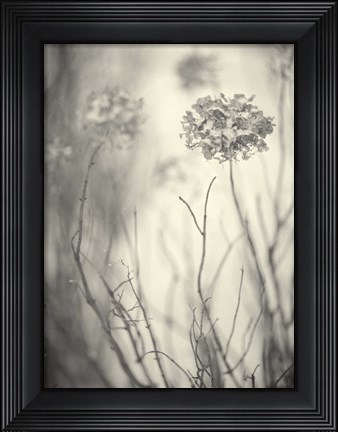 Framed President&#39;s Day Print