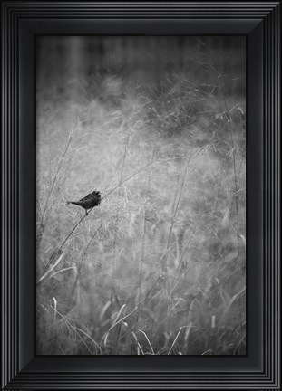 Framed Urban Meadow Print