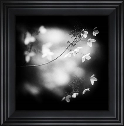 Framed Winter Flowers Print