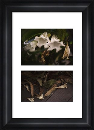 Framed Gravity - Only a Theory Print