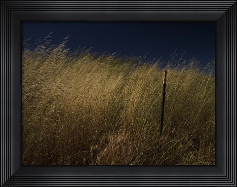 Framed Panhandle Print