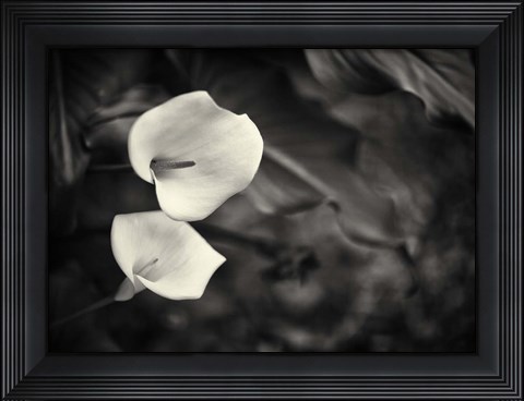 Framed Something More Beside You Print