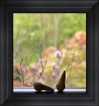 Framed Still Life with Pears and the Magnolia Trees Beyond Print