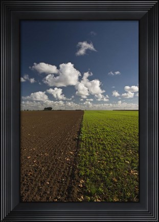 Framed Apres la Guerre Print