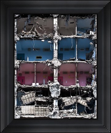 Framed Organelles Print