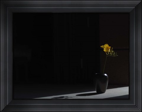 Framed Void (Still Life in Moonlight) Print