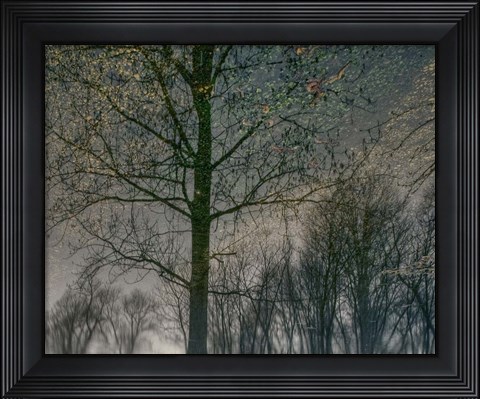 Framed Your Luck Pushes Back Print