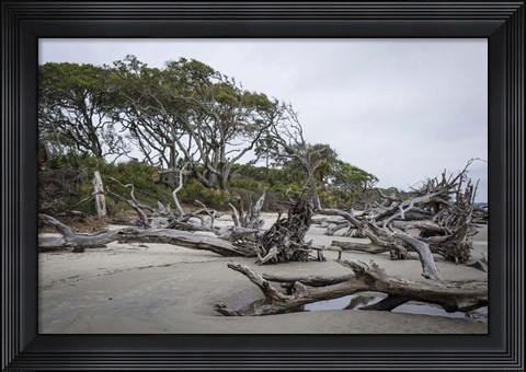 Framed Jekyll Is., GA Print