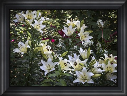 Framed Lilies Print