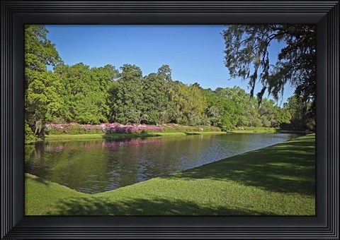 Framed Middleton Place 1, SC Print