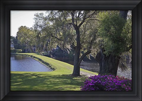Framed Middleton Place 3, SC Print