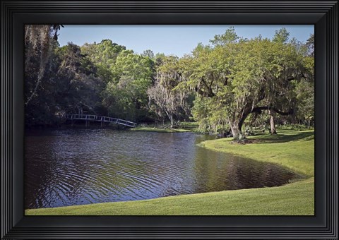Framed Middleton Place 4, SC Print