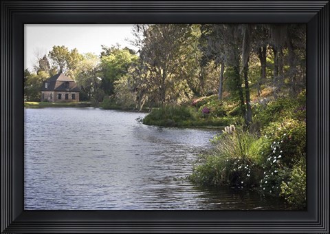 Framed Middleton Place 5, SC Print