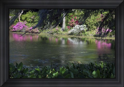 Framed Middleton Place 7, SC Print