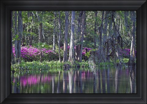 Framed Middleton Place 9, SC Print