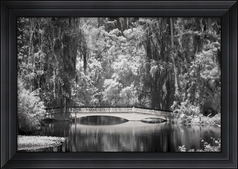 Framed Magnolia Gardens B&amp;W Print