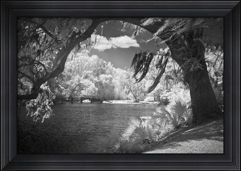 Framed Middleton Place 2 B&amp;W, SC Print