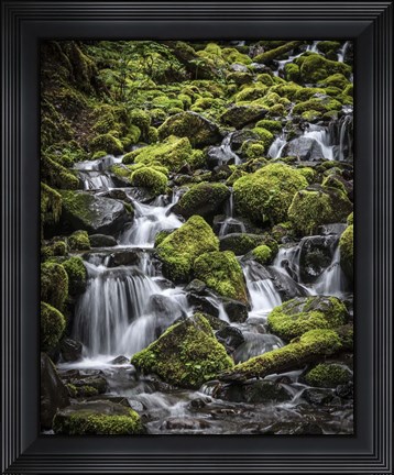 Framed V Olympic NP Print