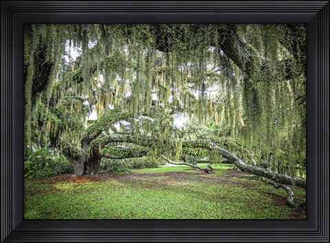 Framed Jekyll Is. GA Print