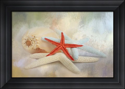 Framed Gifts From The Sea Print