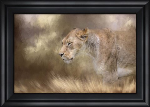 Framed Lioness In Spring Print