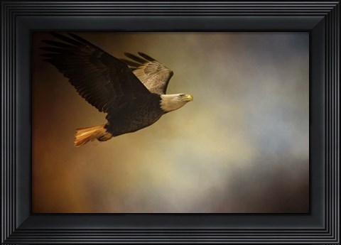 Framed Magnificence Print