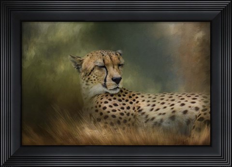 Framed Napping In The Brush Print