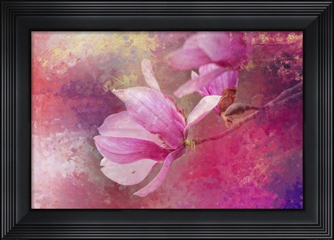 Framed Pink Tulip Magnolia Print