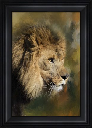 Framed Spring Lion 2 Print