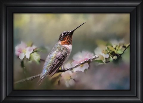 Framed Garden Guardian Print