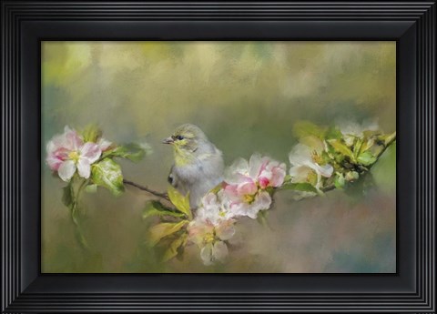 Framed Goldfinch In The Garden 2 Print