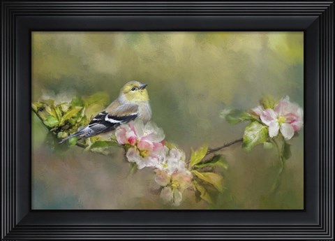 Framed Goldfinch In The Garden Print