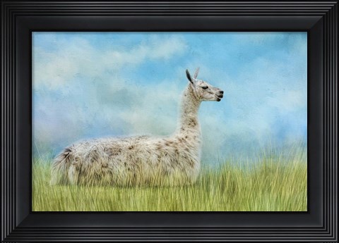 Framed Just Chillin Print