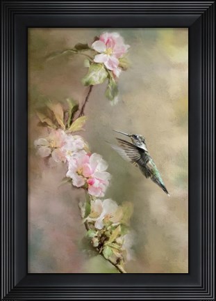 Framed Seeking Nectar Print