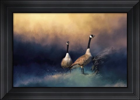 Framed Stranded Print