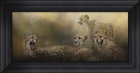 Framed Coalition Print