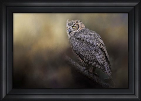 Framed Night With The Great Horned Owl 2 Print