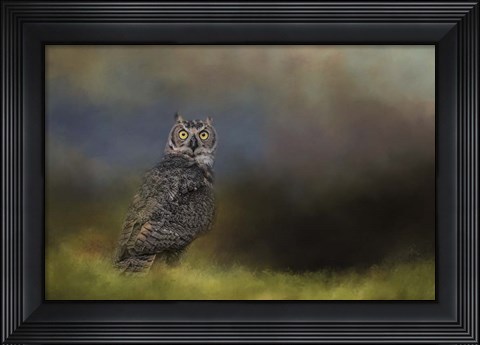 Framed Night With The Great Horned Owl 4 Print