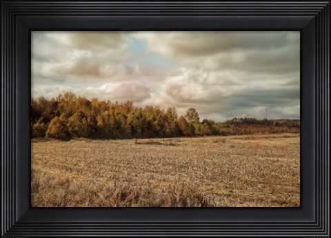 Framed Autumn In The Country Print