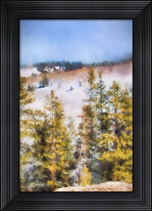 Framed Colorado Color Splash 1 Print